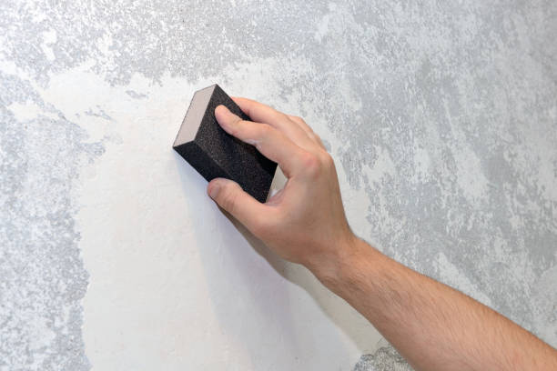 Best Basement Mold Removal  in Dixon Lane Meadow Creek, CA