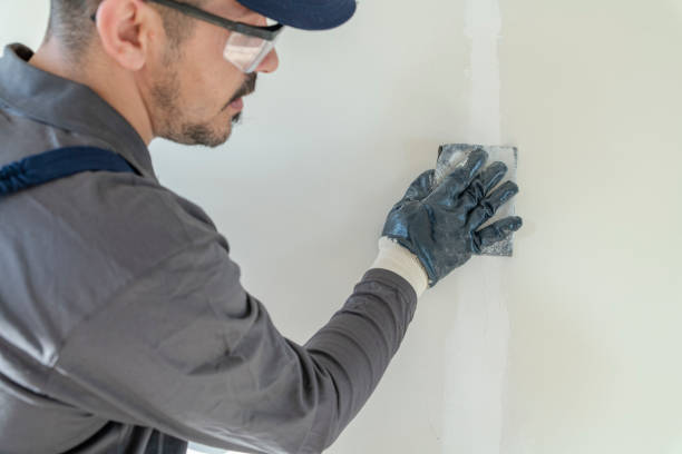 Biohazard Mold Removal in Dixon Lane Meadow Creek, CA